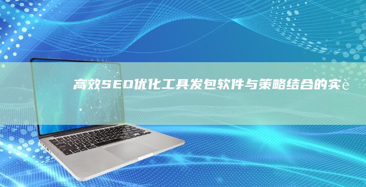 高效SEO优化工具：发包软件与策略结合的实践